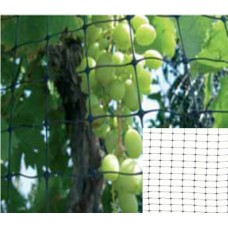 RETE ANTIUCELLI "DIFENGREEN" MT. 2X10