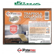 TAVOLETTA INVISCHIATA PER TOPI MISURA PICCOLA 14 X 19 CM