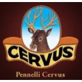 CERVUS